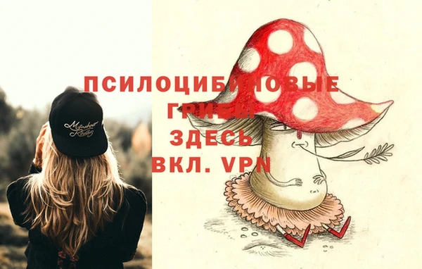 прущая мука Навашино