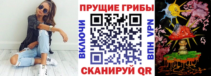 сколько стоит  Богучар  Псилоцибиновые грибы ЛСД 